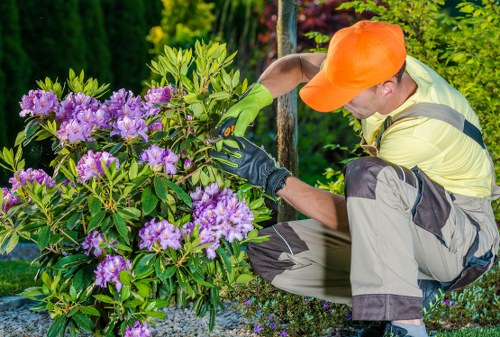 Professional tree surgeon performing careful pruning work
