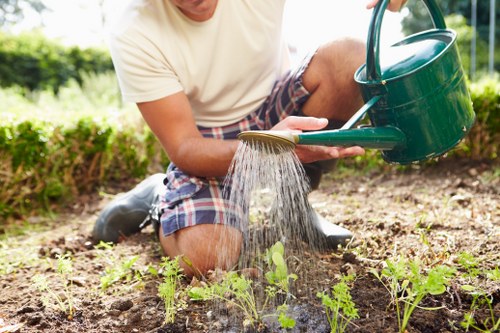 Free quote policy for tree surgery in Willesden with clear pricing details