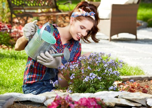 Local tree care professionals maintaining trees in an urban landscape
