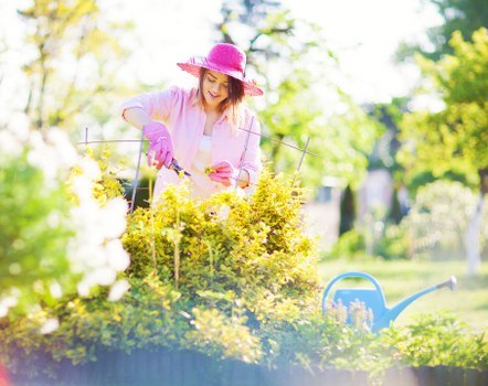 SSL-protected Tree Surgeons Willesden online payment interface