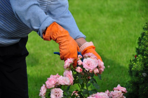 Internal review of a tree surgery complaint